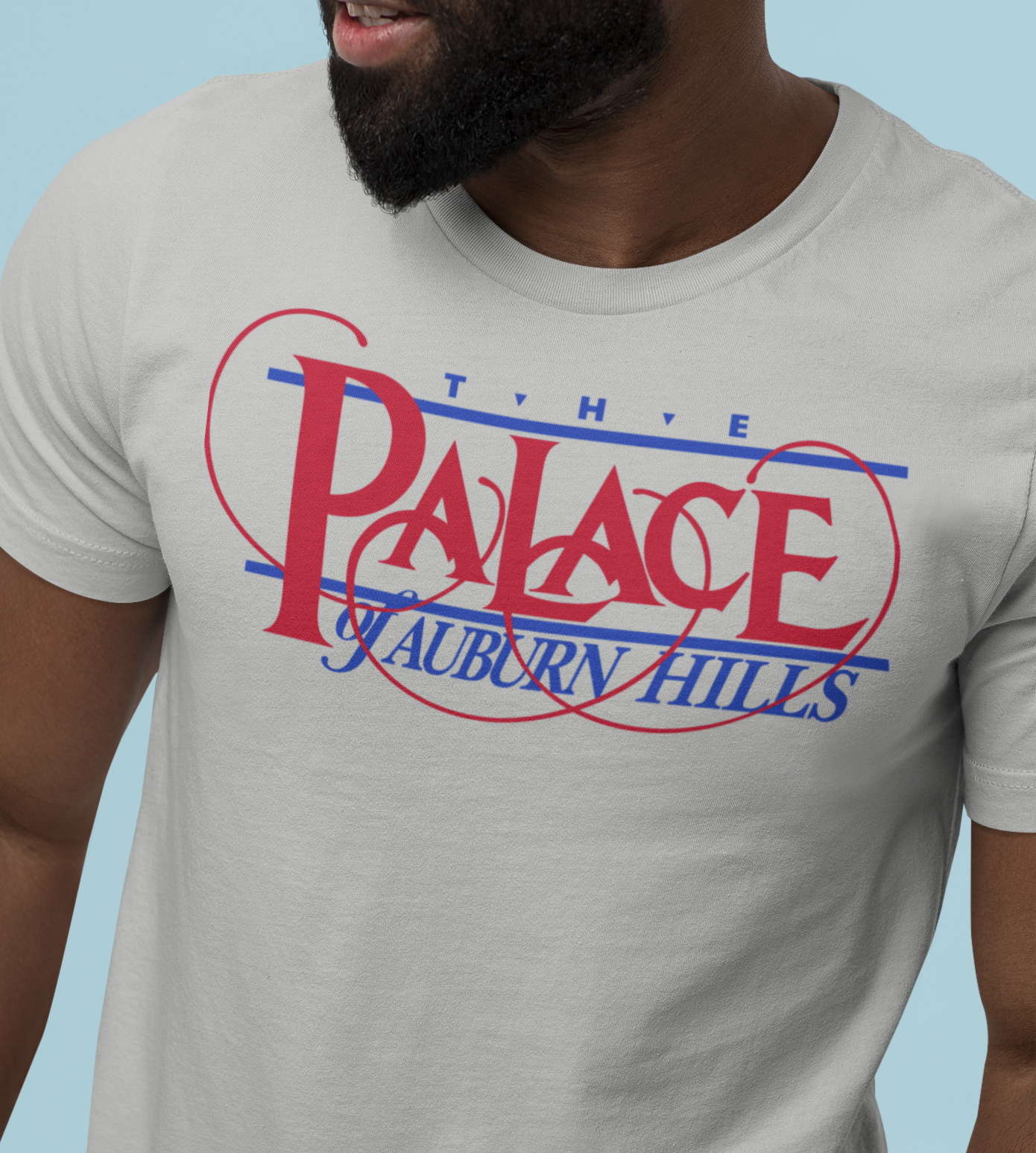 The Palace of Auburn Hills (Detroit)