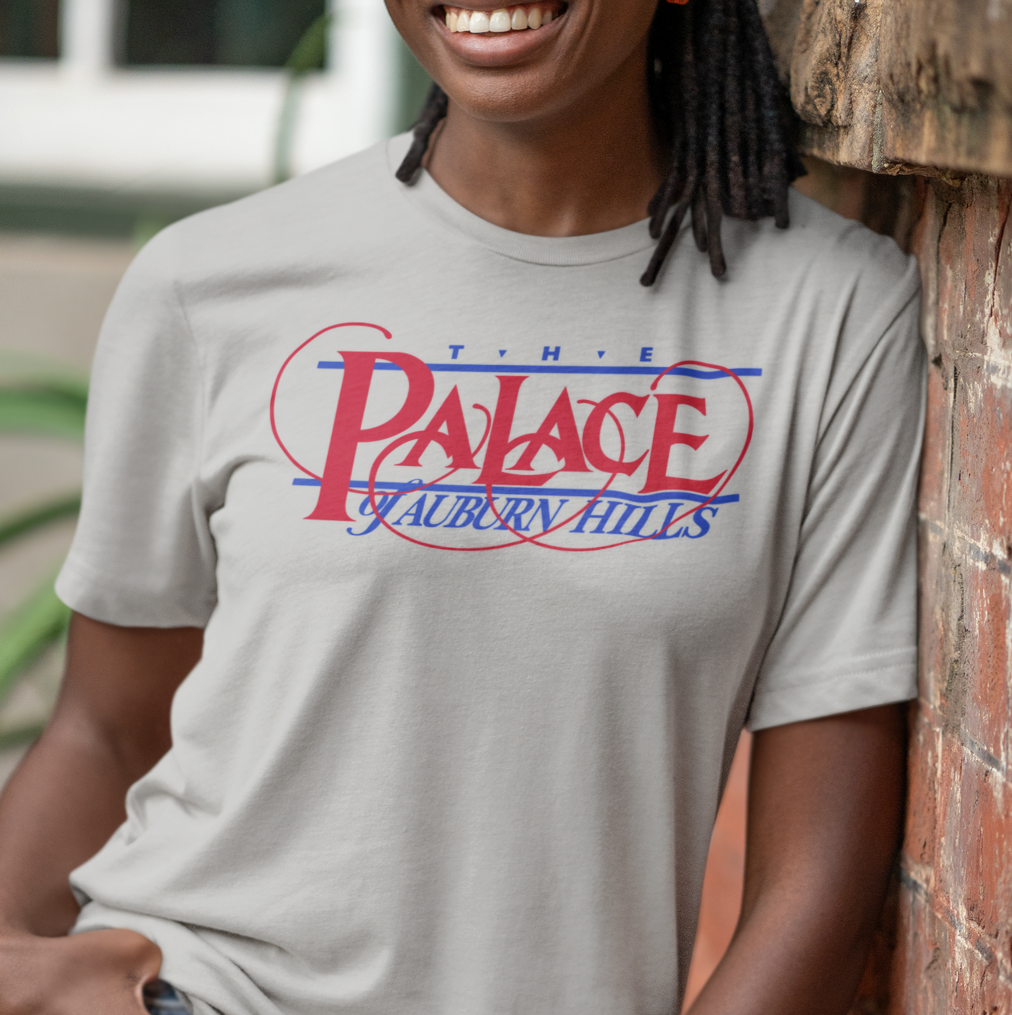 The Palace of Auburn Hills (Detroit)