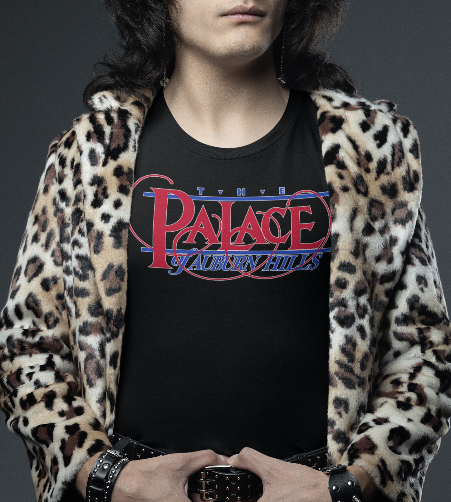 The Palace of Auburn Hills (Detroit)