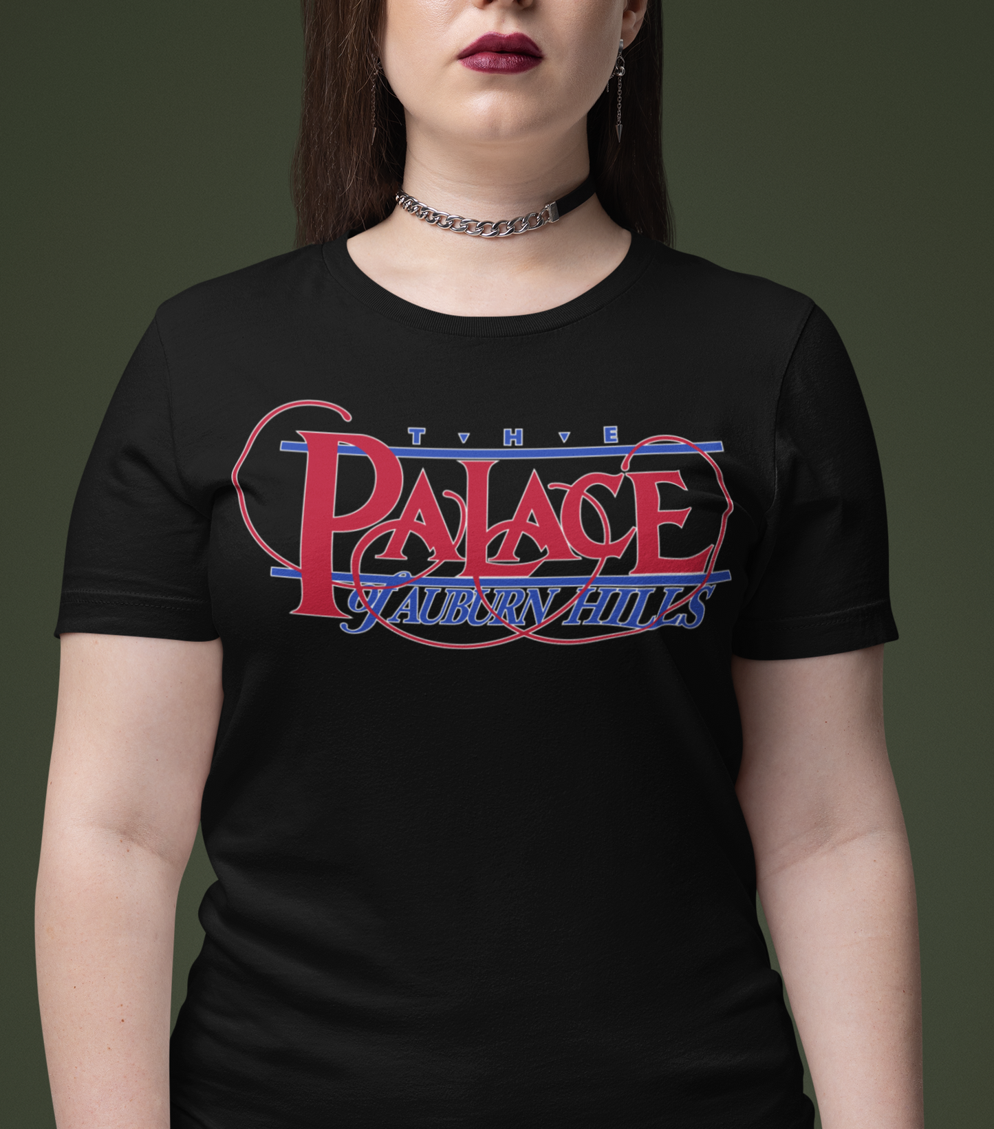 The Palace of Auburn Hills (Detroit)